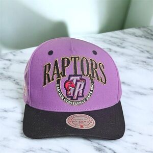 Purple Toronto Raptors Hardwood Classics Crown Jewels Pro Snapback Hat